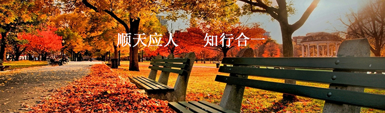 开云（中国）Kaiyun·官方网站